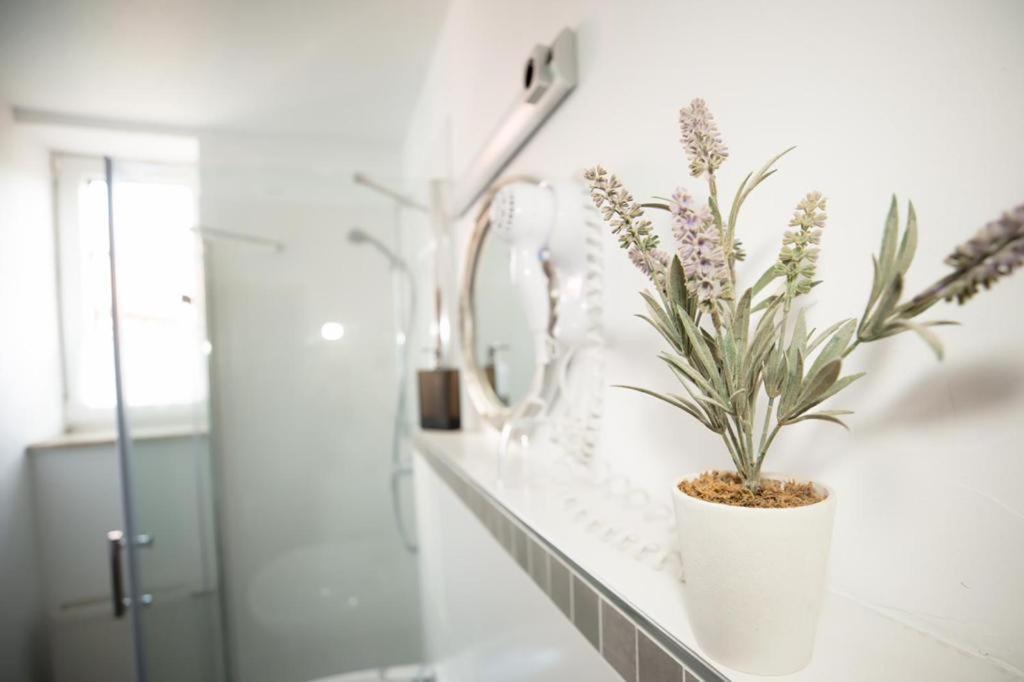 Hotel Weisse Muehle Breitenworbis Екстер'єр фото