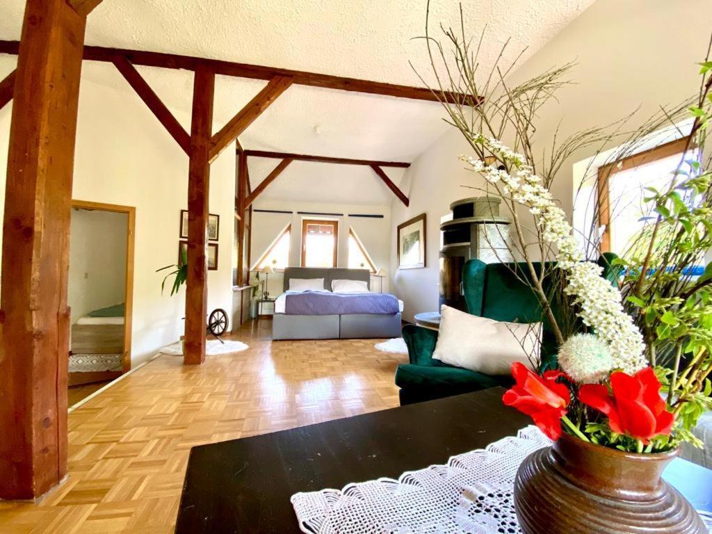 Hotel Weisse Muehle Breitenworbis Екстер'єр фото