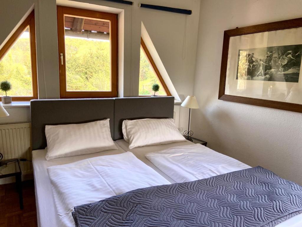 Hotel Weisse Muehle Breitenworbis Екстер'єр фото